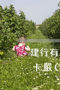 建行有房貸信用卡逾期不還(房貸沒逾期信用卡嚴(yán)重逾期)
