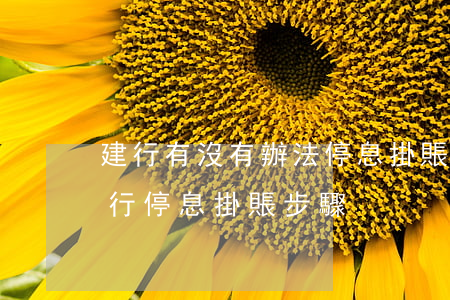 建行有沒有辦法停息掛賬(建設(shè)銀行停息掛賬步驟)