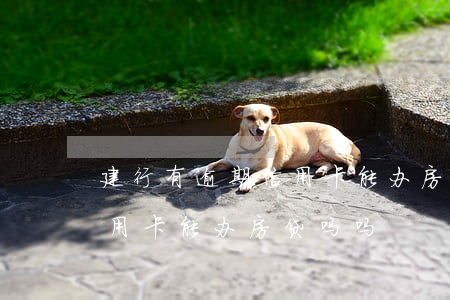 建行有逾期信用卡能办房贷吗(建行有逾期信用卡能办房贷吗吗)