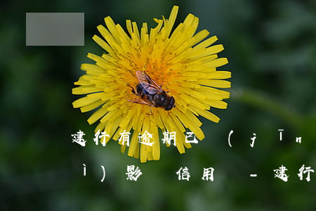 建行有逾期已經(jīng)還了會(huì)影響信用嗎-建行有逾期已經(jīng)還了會(huì)影響信用嗎知乎