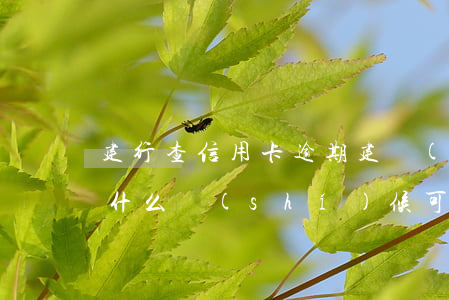 建行查信用卡逾期(建設(shè)銀行逾期,什么時(shí)候可以查詢得到)