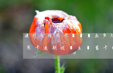 建行欠信用卡錢轉進去多久會被劃走（建行信用卡逾期被劃走儲蓄卡的錢）
