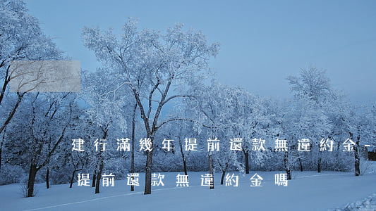 建行滿幾年提前還款無違約金-建行滿幾年提前還款無違約金嗎