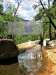 建行為啥老提醒信用卡逾期(建行為啥老提醒信用卡逾期)