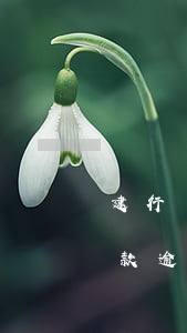 建行現(xiàn)金分期還款逾期(分期付款逾期)