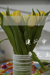 建行申請(qǐng)個(gè)性化分期多久出結(jié)果（建行申請(qǐng)個(gè)性化分期）