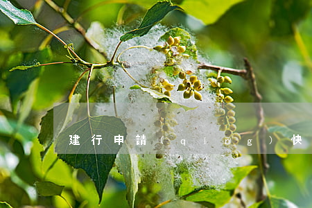 建行申請(qǐng)快貸有逾期