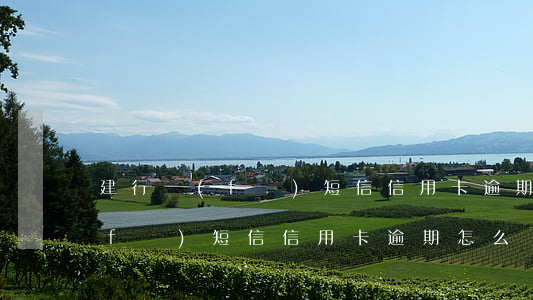 建行發(fā)短信信用卡逾期-建行發(fā)短信信用卡逾期怎么辦
