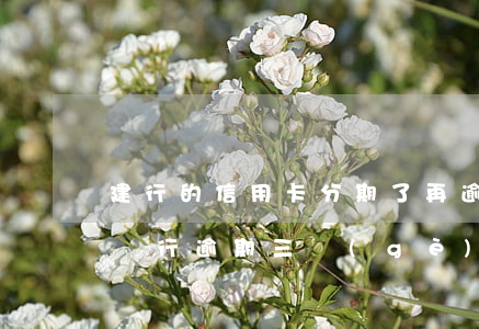 建行的信用卡分期了再逾期(建設(shè)銀行逾期三個(gè)月,銀行不同意分期付款)