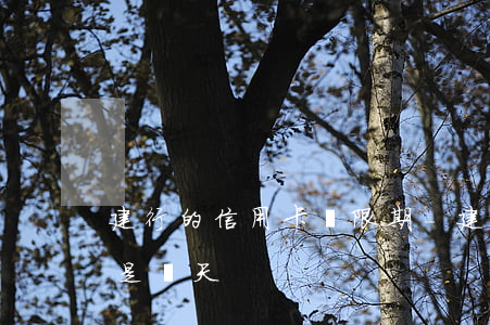 建行的信用卡寬限期-建行的信用卡寬限期是幾天