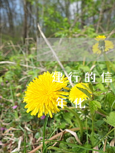 建行的信用卡年費是多少錢（建行信用卡利息年化）