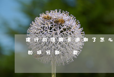 建行的信用卡逾期了怎么辦（建行信用卡逾期如何分期還款）