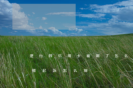 建行的信用卡逾期了怎么辦（建設信用卡逾期被起訴怎么辦）