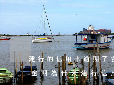 建行的信用卡逾期了會怎么樣(其它行信用卡逾期為什么建行信用卡也被凍結(jié))