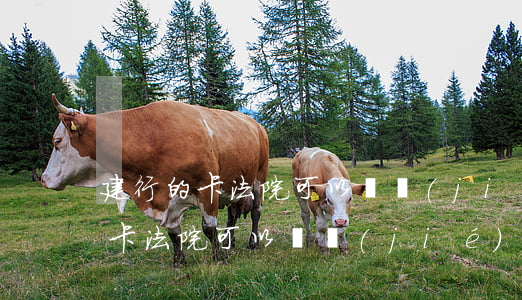 建行的卡法院可以凍結(jié)嗎(建行的卡法院可以凍結(jié)嗎)