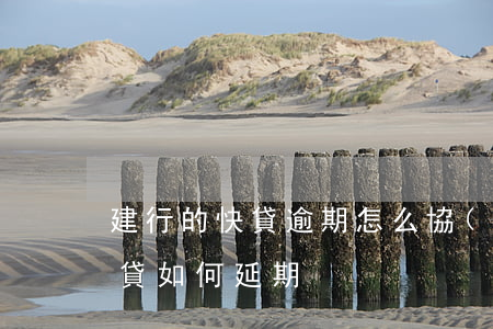 建行的快貸逾期怎么協(xié)商(建行快貸如何延期)