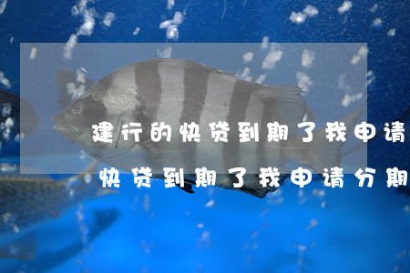 建行的快贷到期了我申请分期还款-建行的快贷到期了我申请分期还款可以吗