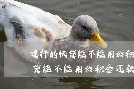 建行的快贷能不能用公积金还款-建行的快贷能不能用公积金还款买房