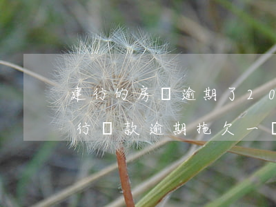 建行的房貸逾期了20天(建設(shè)銀行貸款逾期拖欠一個月還是被起訴了)