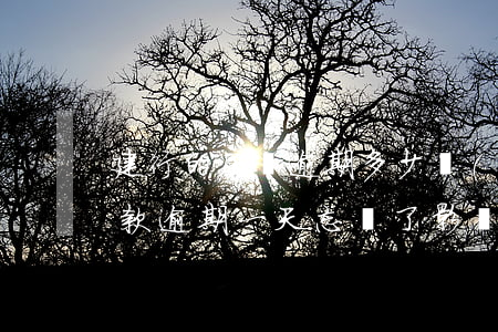建行的房貸逾期多少時(shí)間(建行貸款逾期一天忘記了,影響大嗎)