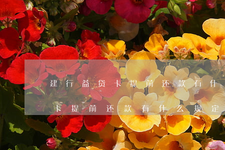 建行益贷卡提前还款有什么规定-建行益贷卡提前还款有什么规定吗
