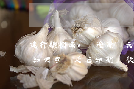 建行短期快e貸逾期兩天(建行快e貸逾期了如何申請延后分期還款)