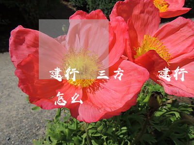 建行簽三方協議(建行簽三方協議,學校放假了怎么辦)