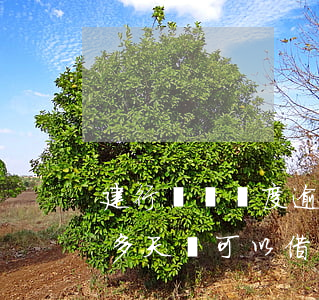 建行臨時額度逾期(建行臨時額度逾期了10多天還可以借嗎)