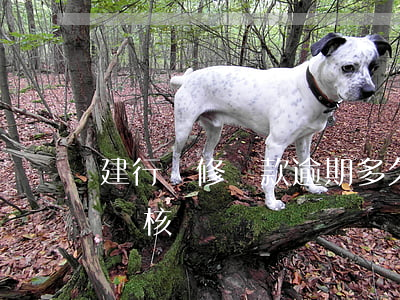 建行裝修貸款逾期多久(建行裝修貸幾天通過審核)