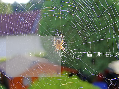 建行裝修貸款逾期法院起訴(裝修貸逾期被起訴)