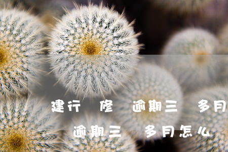 建行裝修貸逾期三個多月怎么辦-建行裝修貸逾期三個多月怎么辦理