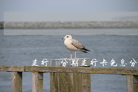 建行讓分期（建行卡免息分期邀請）