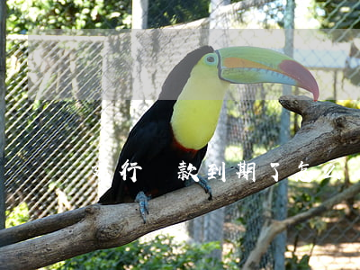 建行貸款到期了怎么辦 建行貸款到期了怎么辦