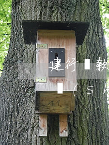 建行貸款逾期了可以通過什么方式補救?-建設(shè)貸款逾期會寬限幾天