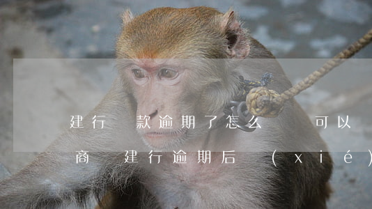 建行貸款逾期了怎么辦還可以協(xié)商嗎?（建行逾期后協(xié)商期間會被起訴嗎）