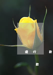 建行貸款逾期如何還款(建行貸款還完還可以貸款嗎)