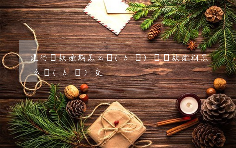 建行貸款逾期怎么補(bǔ)繳(貸款逾期怎么補(bǔ)交)
