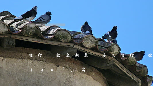 建行貸款逾期最長多久(建行對逾期貸款的規(guī)定)