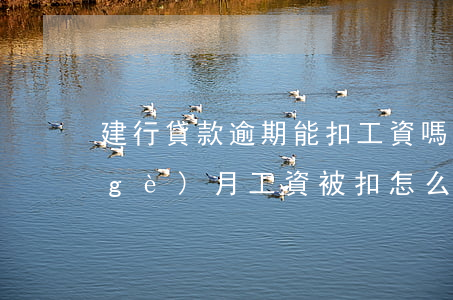 建行貸款逾期能扣工資嗎(欠建行快貸每個(gè)月工資被扣,怎么能不讓扣)