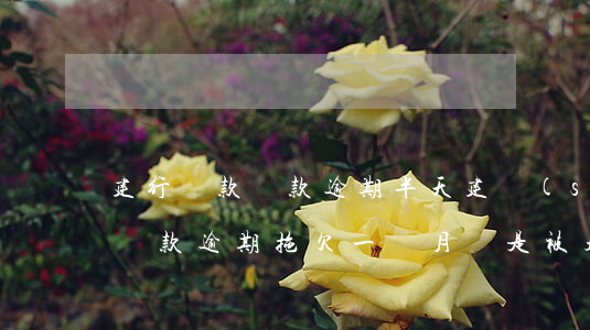 建行貸款還款逾期半天(建設(shè)銀行貸款逾期拖欠一個月還是被起訴了)