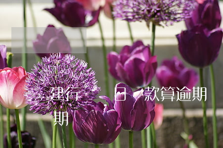 建行賬單日還款算逾期嗎(賬單日沒還款算逾期嗎)