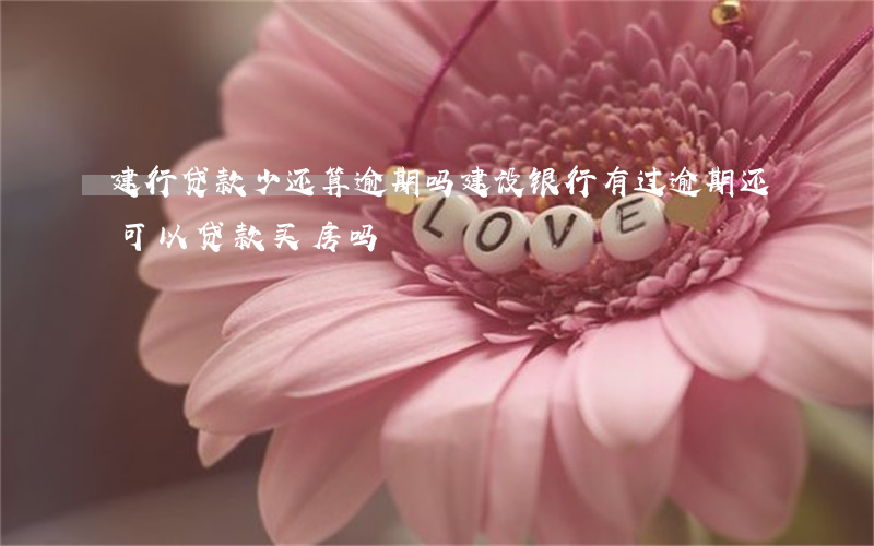 建行贷款少还算逾期吗(建设银行有过逾期还可以贷款买房吗?)