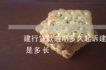 建行贷款逾期多久起诉(建行的逾期规定时间是多长)