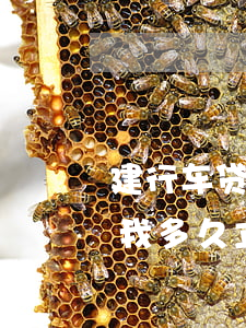 建行车贷卡逾期多久起诉(车贷逾期银行起诉我多久立案)