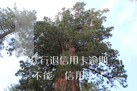 建行退信用卡逾期費(fèi)用(建行退款不能還信用卡了)