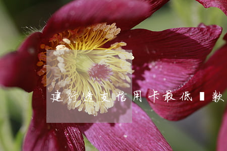 建行透支信用卡最低還款
