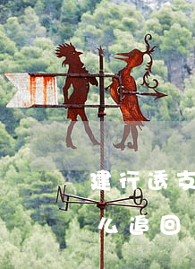 建行透支卡逾期利息（建行信用卡逾期罰息怎么追回）