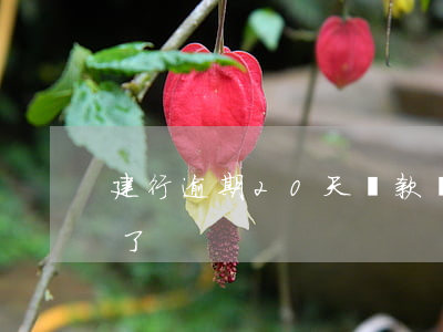 建行逾期20天貸款(銀行貸款逾期20多天了)