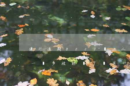 建行逾期8000會上人民法院嗎(建行逾期一萬多被起訴了,會有什么后果)