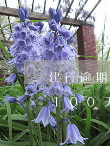 建行逾期90天信用卡解凍（建行信用卡逾期100天被凍結(jié)了）